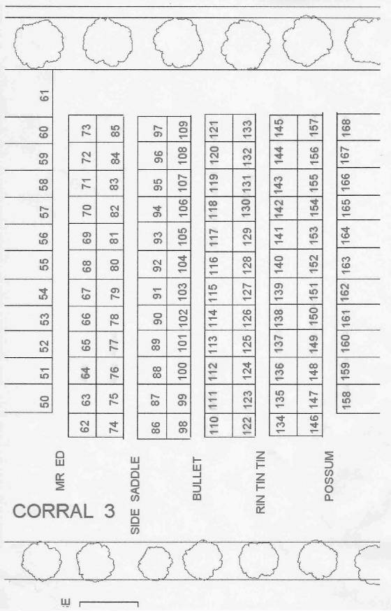 corral3.jpg